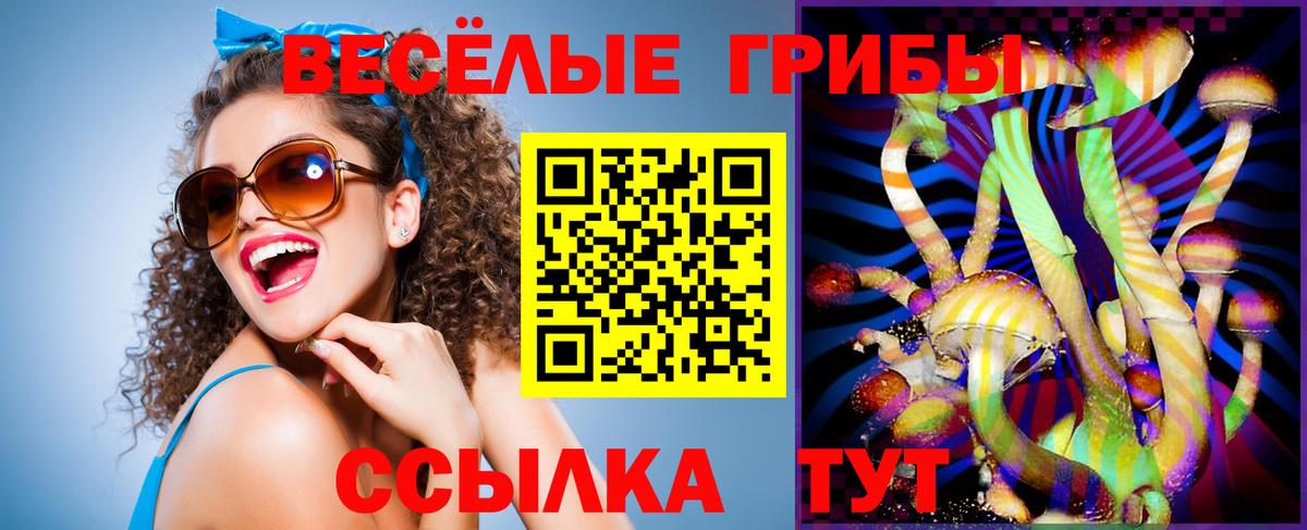 цены наркотик  Вход с VPN  Галлюциногенные грибы GOLDEN TEACHER  Усолье-Сибирское  Галлюциногенные грибы MAGIC MUSHROOMS 