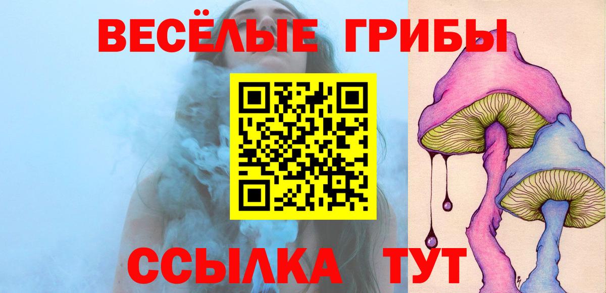 Галлюциногенные грибы прущие грибы Усолье-Сибирское